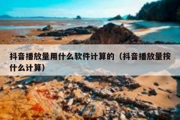 抖音播放量用什么软件计算的（抖音播放量按什么计算）