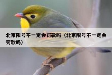 北京限号不一定会罚款吗（北京限号不一定会罚款吗）