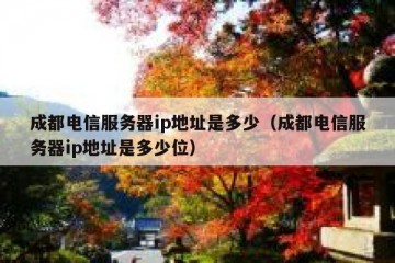 成都电信服务器ip地址是多少（成都电信服务器ip地址是多少位）