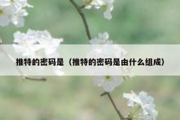推特的密码是（推特的密码是由什么组成）