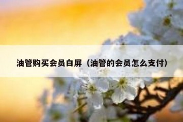 油管购买会员白屏（油管的会员怎么支付）