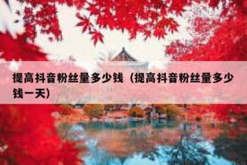 提高抖音粉丝量多少钱（提高抖音粉丝量多少钱一天）