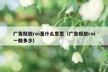 广告投放roi是什么意思（广告投放roi一般多少）