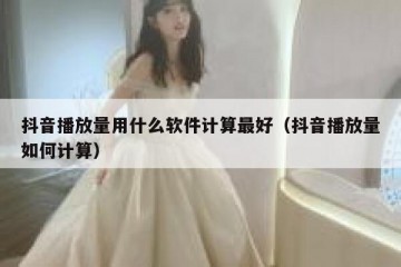 抖音播放量用什么软件计算最好（抖音播放量如何计算）