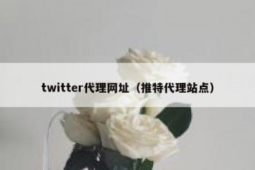 twitter代理网址（推特代理站点）
