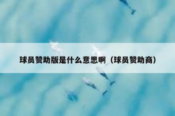 球员赞助版是什么意思啊（球员赞助商）
