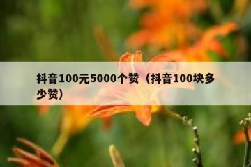 抖音100元5000个赞（抖音100块多少赞）