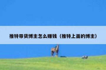 推特带货博主怎么赚钱（推特上面的博主）