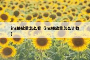 ins播放量怎么看（ins播放量怎么计数）