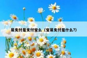 易支付是支付宝么（宝易支付是什么?）