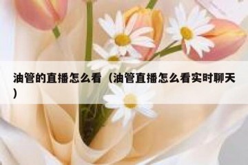 油管的直播怎么看（油管直播怎么看实时聊天）