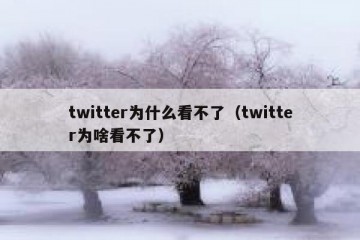 twitter为什么看不了（twitter为啥看不了）