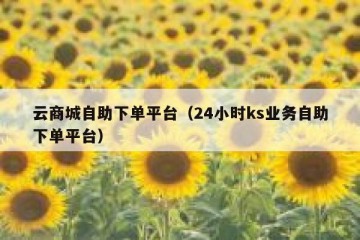 云商城自助下单平台（24小时ks业务自助下单平台）