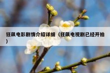 狂飙电影剧情介绍详细（狂飙电视剧已经开拍）