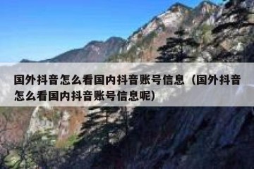 国外抖音怎么看国内抖音账号信息（国外抖音怎么看国内抖音账号信息呢）