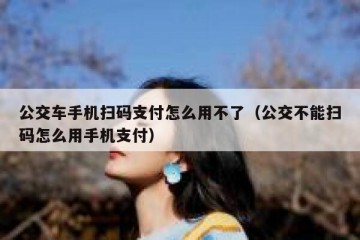 公交车手机扫码支付怎么用不了（公交不能扫码怎么用手机支付）