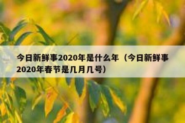 今日新鲜事2020年是什么年（今日新鲜事2020年春节是几月几号）