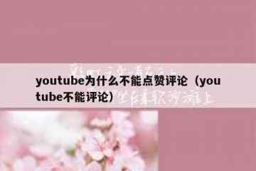youtube为什么不能点赞评论（youtube不能评论）