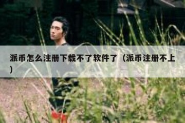 派币怎么注册下载不了软件了（派币注册不上）