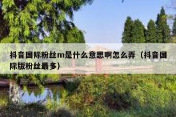 抖音国际粉丝m是什么意思啊怎么弄（抖音国际版粉丝最多）
