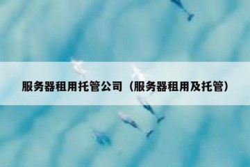 服务器租用托管公司（服务器租用及托管）