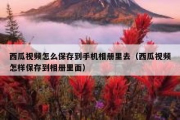 西瓜视频怎么保存到手机相册里去（西瓜视频怎样保存到相册里面）