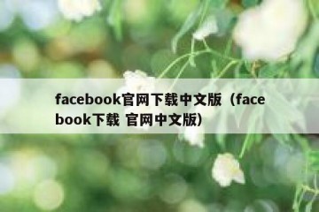 facebook官网下载中文版（facebook下载 官网中文版）