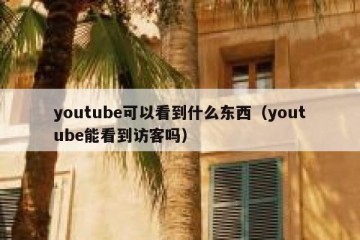 youtube可以看到什么东西（youtube能看到访客吗）