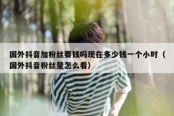 国外抖音加粉丝要钱吗现在多少钱一个小时（国外抖音粉丝量怎么看）