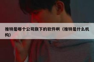 推特是哪个公司旗下的软件啊（推特是什么机构）