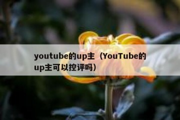 youtube的up主（YouTube的up主可以控评吗）