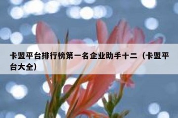 卡盟平台排行榜第一名企业助手十二（卡盟平台大全）
