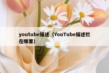 youtube描述（YouTube描述栏在哪里）