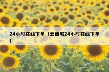 24小时在线下单（云商城24小时在线下单）