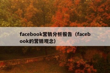 facebook营销分析报告（facebook的营销观念）