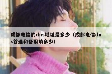 成都电信的dns地址是多少（成都电信dns首选和备用填多少）