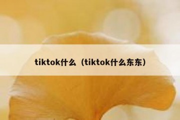 tiktok什么（tiktok什么东东）