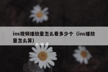 ins视频播放量怎么看多少个（ins播放量怎么算）