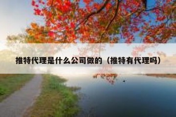 推特代理是什么公司做的（推特有代理吗）