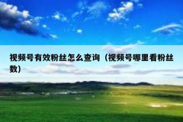 视频号有效粉丝怎么查询（视频号哪里看粉丝数）