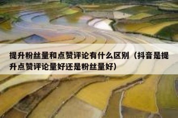 提升粉丝量和点赞评论有什么区别（抖音是提升点赞评论量好还是粉丝量好）