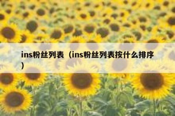 ins粉丝列表（ins粉丝列表按什么排序）