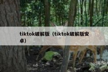 tiktok破解版（tiktok破解版安卓）
