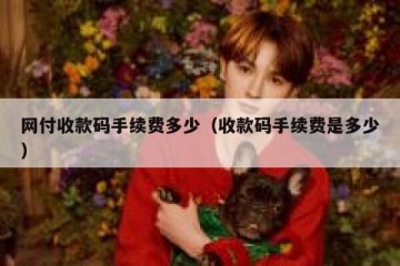 网付收款码手续费多少（收款码手续费是多少）