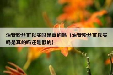 油管粉丝可以买吗是真的吗（油管粉丝可以买吗是真的吗还是假的）