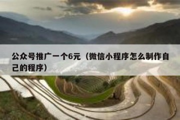 公众号推广一个6元（微信小程序怎么制作自己的程序）