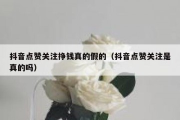 抖音点赞关注挣钱真的假的（抖音点赞关注是真的吗）