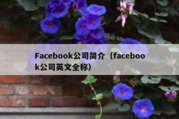 Facebook公司简介（facebook公司英文全称）