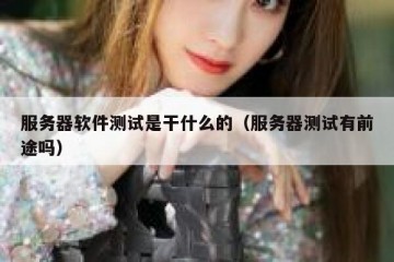 服务器软件测试是干什么的（服务器测试有前途吗）