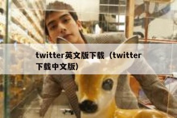 twitter英文版下载（twitter下载中文版）